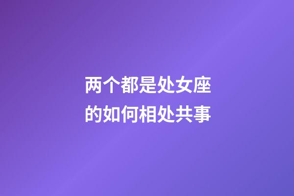 两个都是处女座的如何相处共事-第1张-星座运势-玄机派