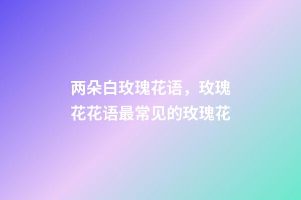 两朵白玫瑰花语，玫瑰花花语最常见的玫瑰花-第1张-观点-玄机派