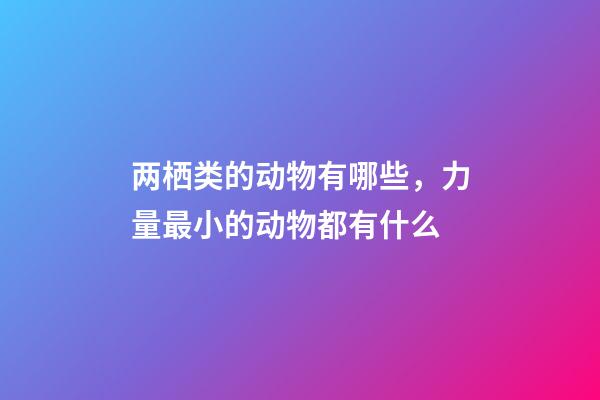两栖类的动物有哪些，力量最小的动物都有什么-第1张-观点-玄机派