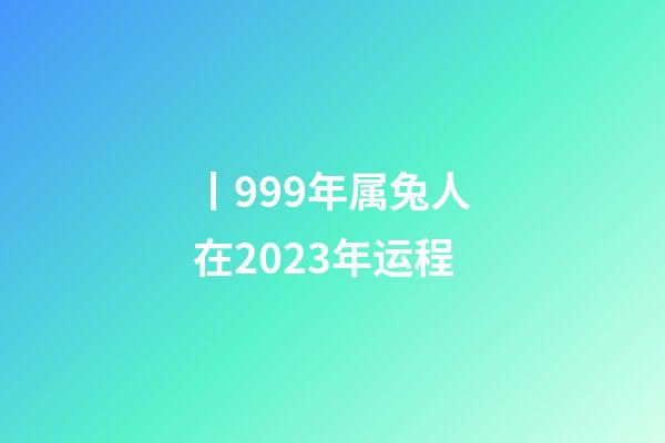 丨999年属兔人在2023年运程