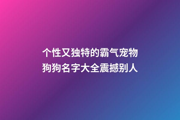 个性又独特的霸气宠物狗狗名字大全震撼别人