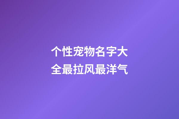 个性宠物名字大全最拉风最洋气