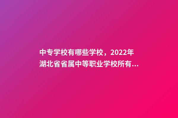 中专学校有哪些学校，2022年湖北省省属中等职业学校(中职)所有名单(17所)-第1张-观点-玄机派