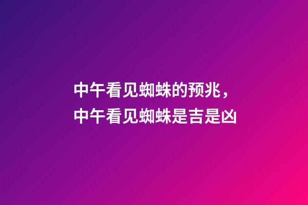中午看见蜘蛛的预兆，中午看见蜘蛛是吉是凶