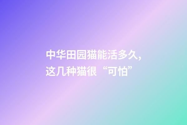 中华田园猫能活多久,这几种猫很“可怕”-第1张-观点-玄机派