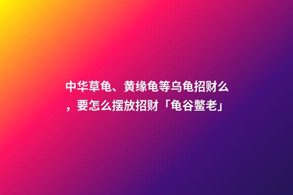 中华草龟、黄缘龟等乌龟招财么，要怎么摆放招财「龟谷鳖老」