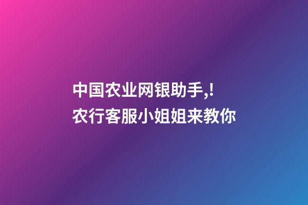 中国农业网银助手,!农行客服小姐姐来教你-第1张-观点-玄机派