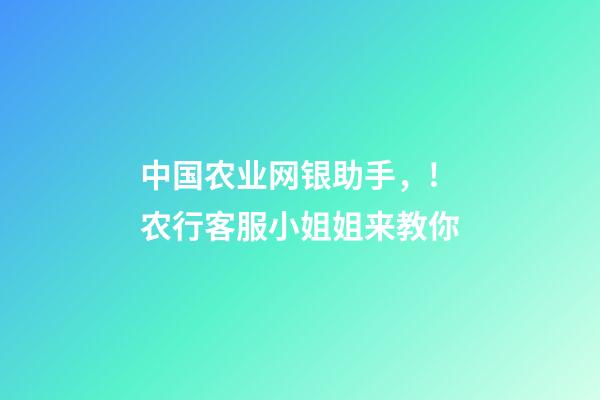 中国农业网银助手，!农行客服小姐姐来教你-第1张-观点-玄机派