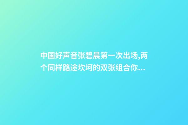 中国好声音张碧晨第一次出场,两个同样路途坎坷的双张组合(张韶涵、张碧晨)你喜欢哪个-第1张-观点-玄机派