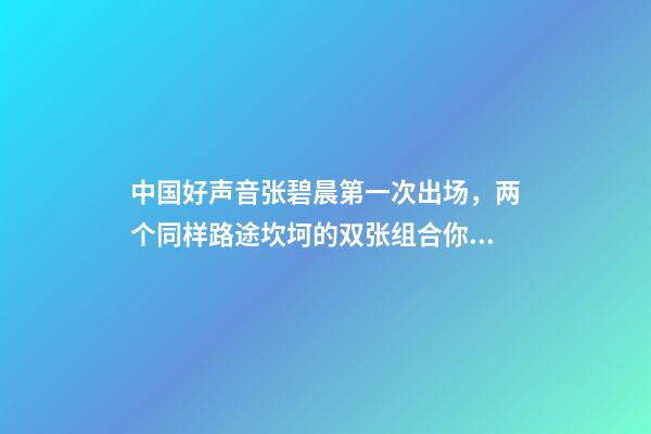 中国好声音张碧晨第一次出场，两个同样路途坎坷的双张组合(张韶涵、张碧晨)你喜欢哪个-第1张-观点-玄机派