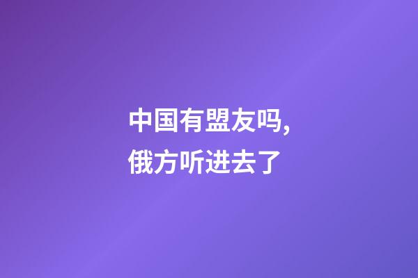 中国有盟友吗,俄方听进去了-第1张-观点-玄机派