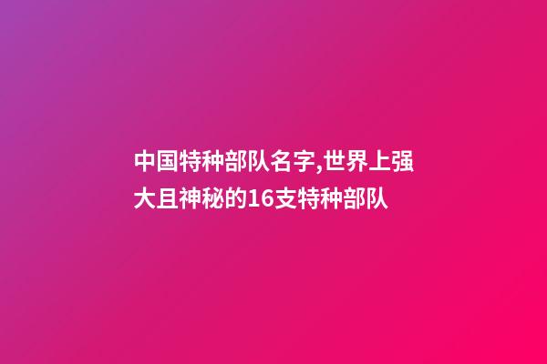 中国特种部队名字,世界上强大且神秘的16支特种部队-第1张-观点-玄机派