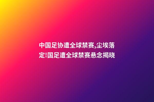 中国足协遭全球禁赛,尘埃落定!国足遭全球禁赛悬念揭晓-第1张-观点-玄机派