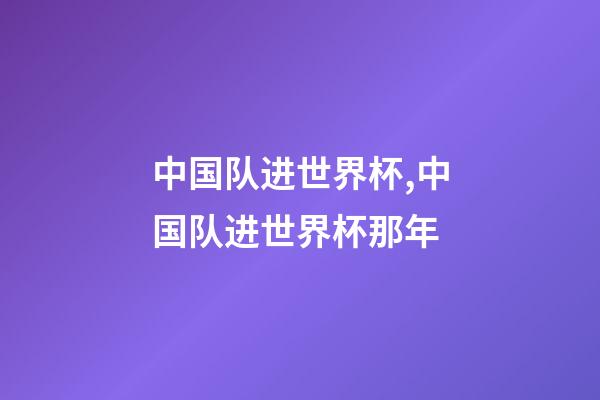 中国队进世界杯,中国队进世界杯那年-第1张-观点-玄机派