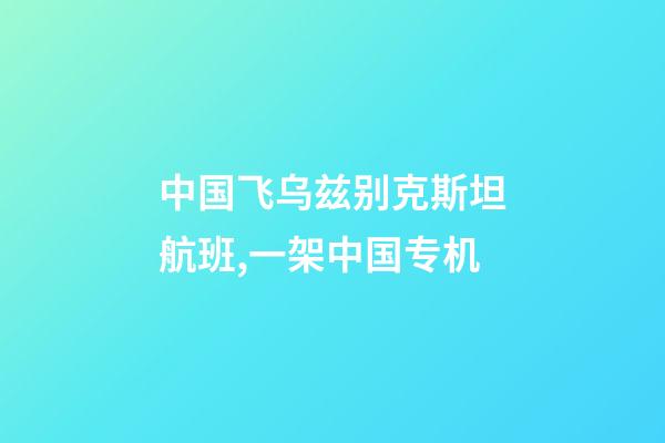 中国飞乌兹别克斯坦航班,一架中国专机-第1张-观点-玄机派