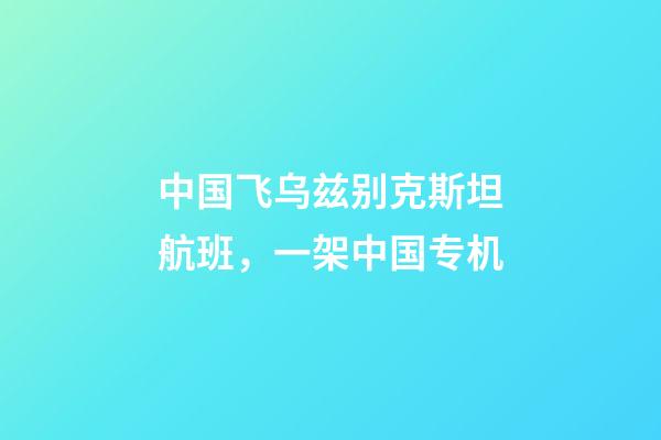 中国飞乌兹别克斯坦航班，一架中国专机-第1张-观点-玄机派
