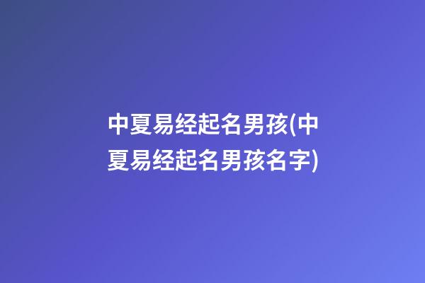 中夏易经起名男孩(中夏易经起名男孩名字)