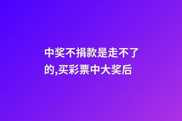 中奖不捐款是走不了的,买彩票中大奖后-第1张-观点-玄机派