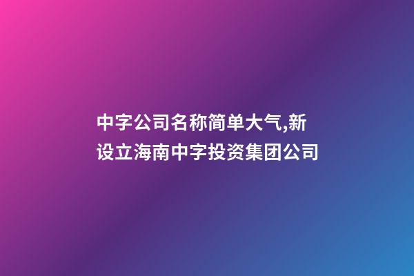 中字公司名称简单大气,新设立海南中字投资集团公司-第1张-观点-玄机派