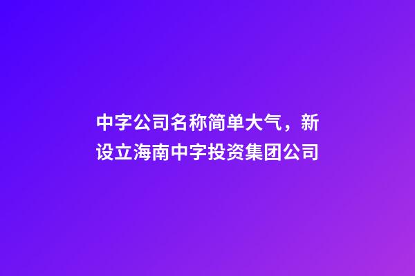 中字公司名称简单大气，新设立海南中字投资集团公司-第1张-观点-玄机派