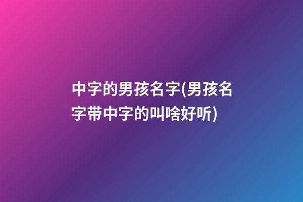 中字的男孩名字(男孩名字带中字的叫啥好听)