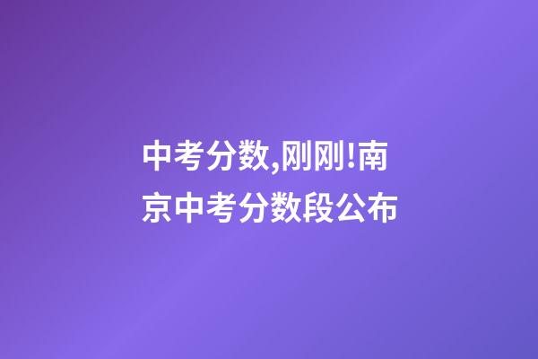 中考分数,刚刚!南京中考分数段公布-第1张-观点-玄机派
