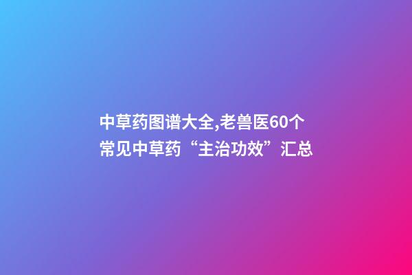 中草药图谱大全,老兽医60个常见中草药“主治功效”汇总-第1张-观点-玄机派