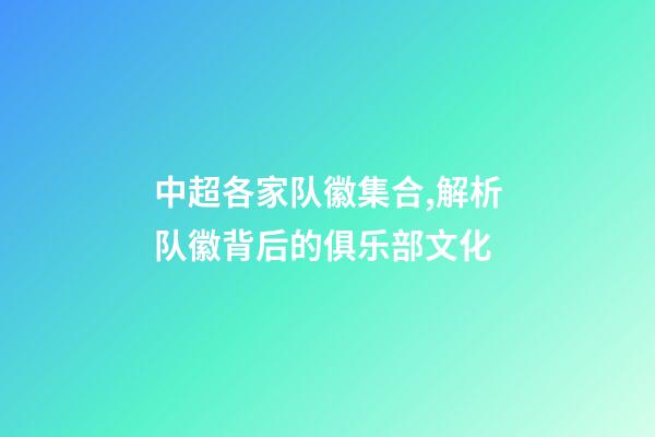 中超各家队徽集合,解析队徽背后的俱乐部文化-第1张-观点-玄机派