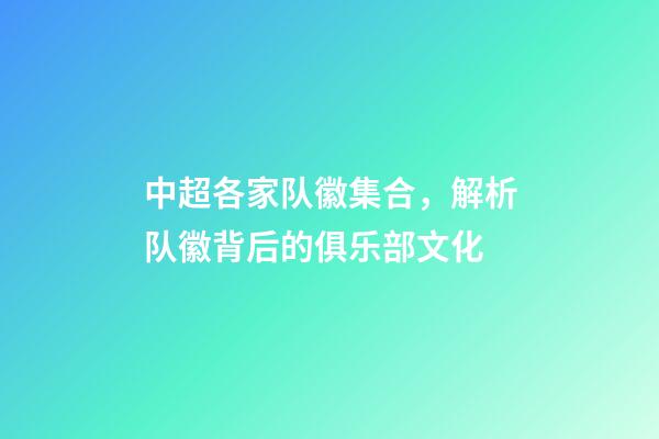 中超各家队徽集合，解析队徽背后的俱乐部文化-第1张-观点-玄机派