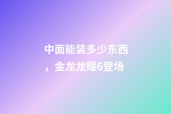 中面能装多少东西，金龙龙耀6登场-第1张-观点-玄机派