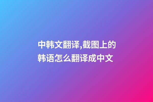 中韩文翻译,截图上的韩语怎么翻译成中文-第1张-观点-玄机派