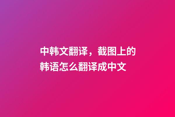中韩文翻译，截图上的韩语怎么翻译成中文-第1张-观点-玄机派