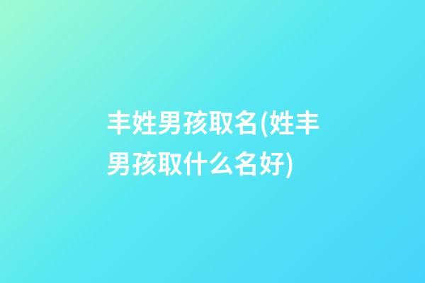 丰姓男孩取名(姓丰男孩取什么名好)