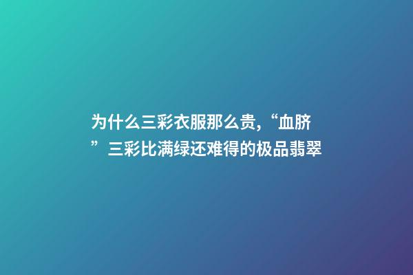 为什么三彩衣服那么贵,“血脐”三彩比满绿还难得的极品翡翠-第1张-观点-玄机派