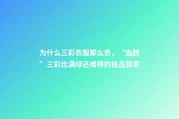 为什么三彩衣服那么贵，“血脐”三彩比满绿还难得的极品翡翠-第1张-观点-玄机派