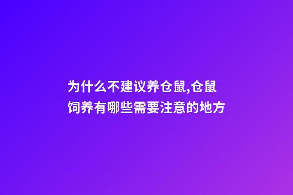 为什么不建议养仓鼠,仓鼠饲养有哪些需要注意的地方-第1张-观点-玄机派