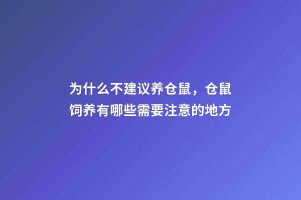 为什么不建议养仓鼠，仓鼠饲养有哪些需要注意的地方-第1张-观点-玄机派