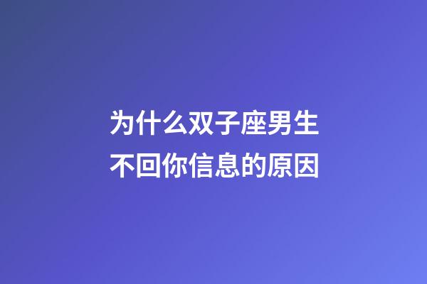 为什么双子座男生不回你信息的原因-第1张-星座运势-玄机派