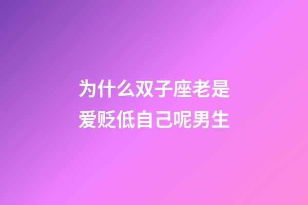为什么双子座老是爱贬低自己呢男生-第1张-星座运势-玄机派