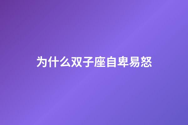 为什么双子座自卑易怒-第1张-星座运势-玄机派