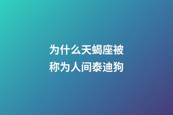 为什么天蝎座被称为人间泰迪狗-第1张-星座运势-玄机派