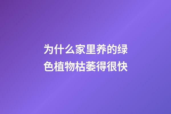 为什么家里养的绿色植物枯萎得很快