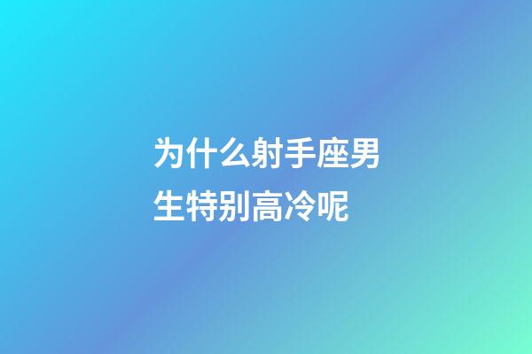 为什么射手座男生特别高冷呢-第1张-星座运势-玄机派