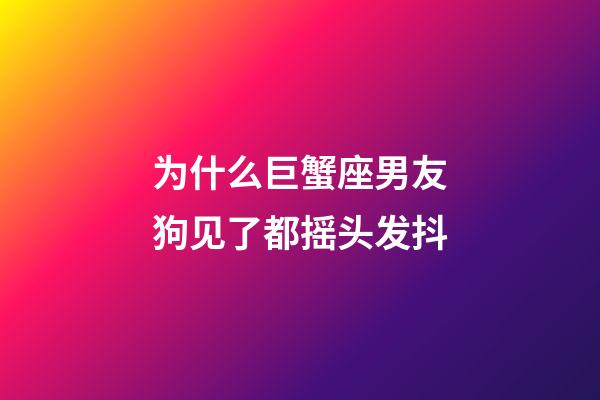 为什么巨蟹座男友狗见了都摇头发抖-第1张-星座运势-玄机派