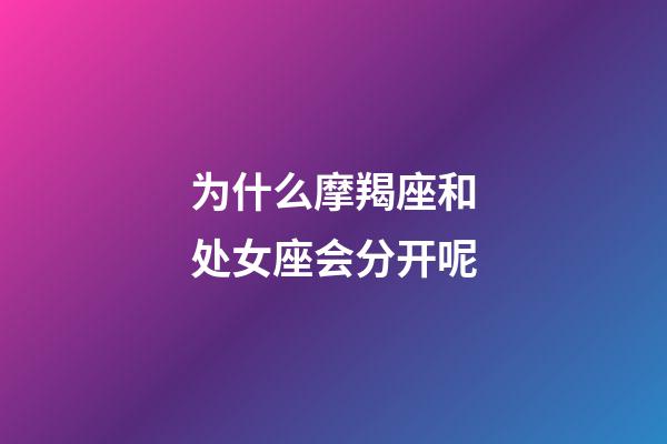 为什么摩羯座和处女座会分开呢-第1张-星座运势-玄机派