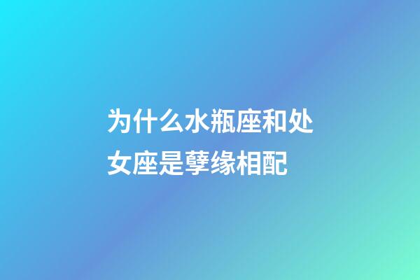 为什么水瓶座和处女座是孽缘相配-第1张-星座运势-玄机派