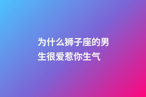 为什么狮子座的男生很爱惹你生气-第1张-星座运势-玄机派