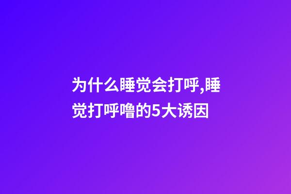 为什么睡觉会打呼,睡觉打呼噜的5大诱因-第1张-观点-玄机派