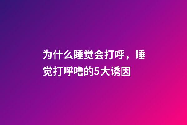 为什么睡觉会打呼，睡觉打呼噜的5大诱因-第1张-观点-玄机派