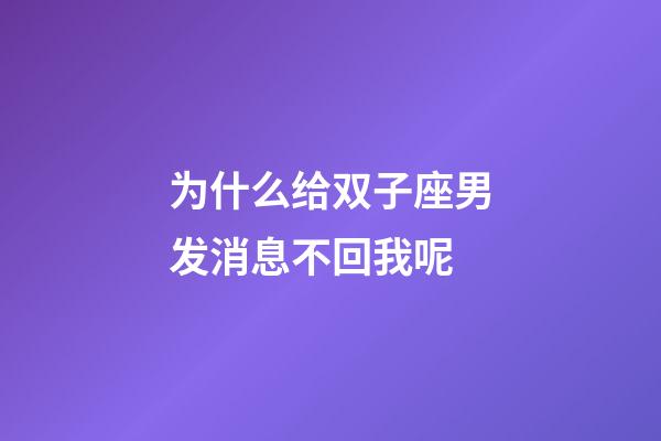 为什么给双子座男发消息不回我呢-第1张-星座运势-玄机派